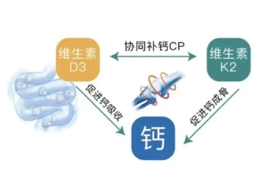 缺鈣怎么補？液體鈣有用嗎？鈣片哪個牌子好(圖3)