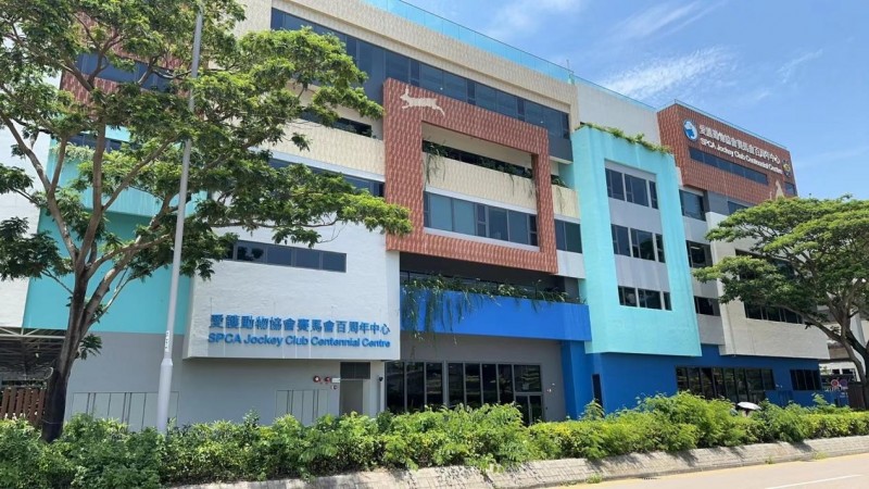 IGG鸚鵡攜手香港SPCA協(xié)會，共筑動物福祉