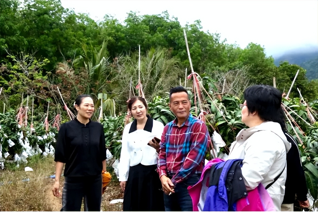山海聯動！晉瓊康養新生態鏈，“健康家園”在海南！(圖10)
