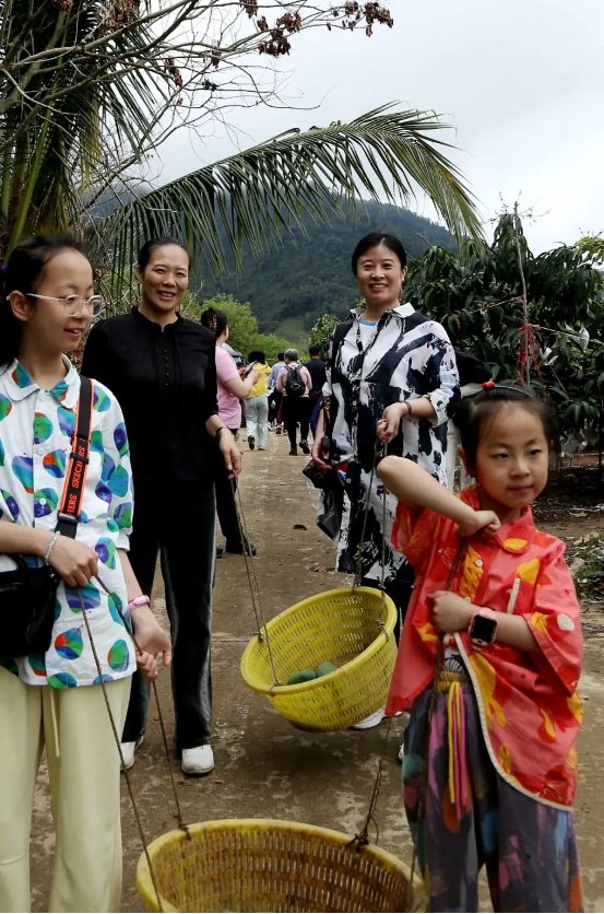 山海聯動！晉瓊康養新生態鏈，“健康家園”在海南！(圖14)