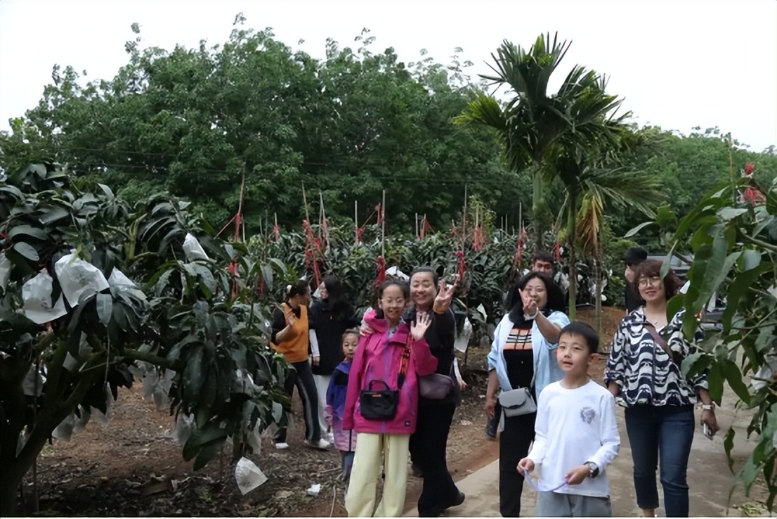 山海聯動！晉瓊康養新生態鏈，“健康家園”在海南！(圖19)