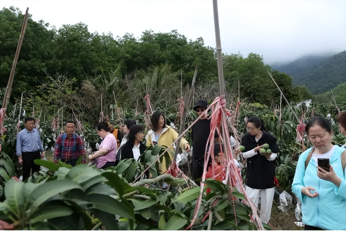 山海聯動！晉瓊康養新生態鏈，“健康家園”在海南！(圖24)