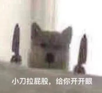拍拍貸靠譜嗎？看看這幾方面就夠了