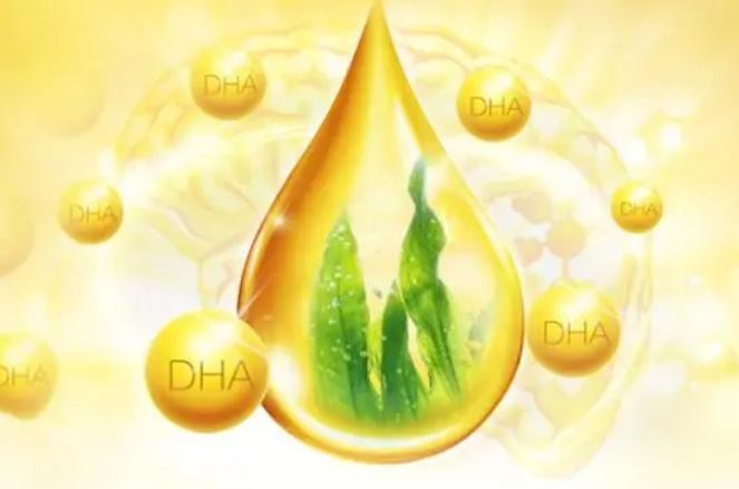 新手爸媽必看：DHA什么時候補？怎么選？天然博士DHA藻油了解一下！