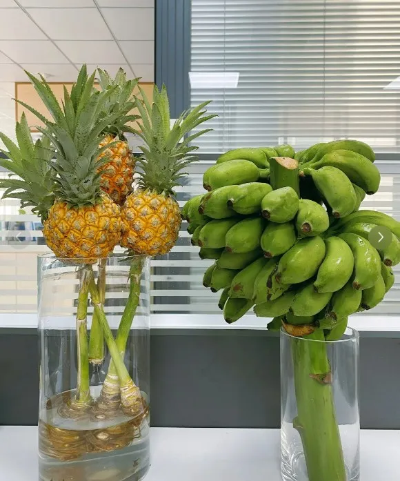小鵬P7i鵬翼版發(fā)布：外觀升級(jí)內(nèi)飾豐富，性能與價(jià)格雙重優(yōu)勢！
