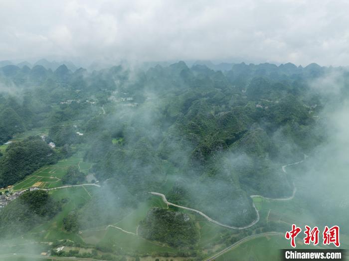 貴州興義：夏日萬峰林風景美如畫